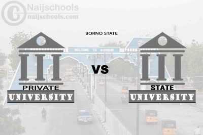 Borno State vs Private University; Which is Better? Check!
