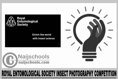 Royal Entomological Society Insect Photography Competition 2023