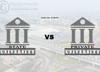 Delta State vs Private University; Which is Better? Check!