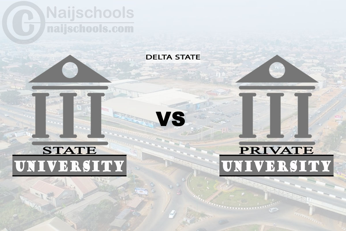 Delta State vs Private University; Which is Better? Check!