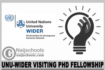 UNU-WIDER Visiting PhD Fellowship