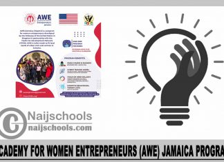 Academy for Women Entrepreneurs (AWE) Jamaica Program 2023