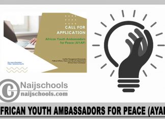 African Youth Ambassadors for Peace (AYAP) 2023