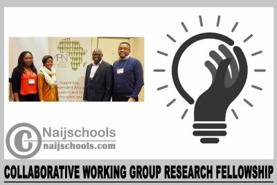 Collaborative Working Group Research Fellowship