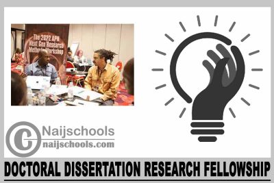 Doctoral Dissertation Research Fellowship
