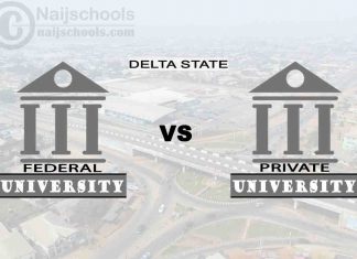 Delta Federal vs Private University; Which is Better? Check!