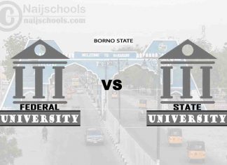 Borno Federal vs State University; Which is Better? Check!
