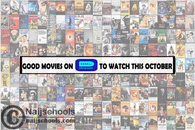 Watch Good DSTV Stream October Movies; 15 Options