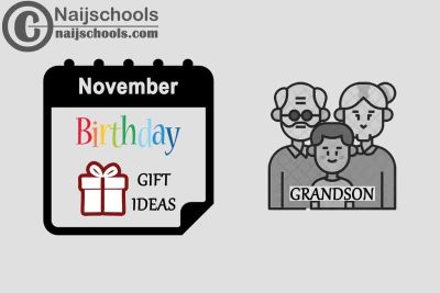 15 November Birthday Gifts to Buy For Your Grandson