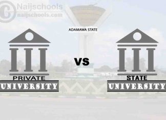 Adamawa State vs Private University; Which is Better? Check!