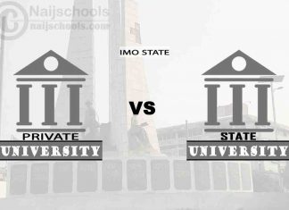 Imo State vs Private University; Which is Better? Check!