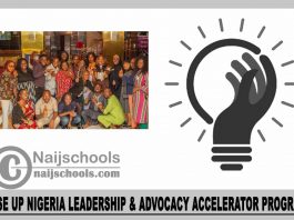 Rise Up Nigeria Leadership & Advocacy Accelerator Program 2024