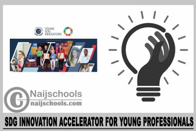  SDG Innovation Accelerator for Young Professionals 2024