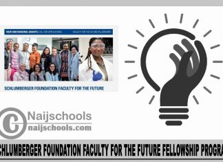 Schlumberger Foundation Faculty for the Future Fellowship Program 2024
