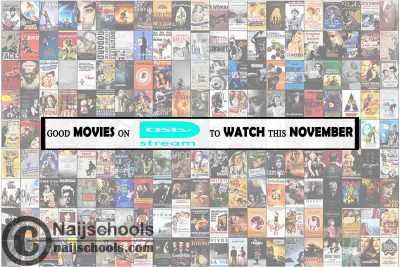 Watch Good DStv Stream November Movies; 15 Options 