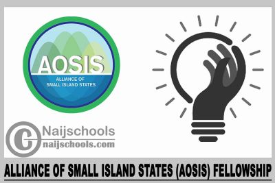 Alliance of Small Island States (AOSIS) Fellowship 2024