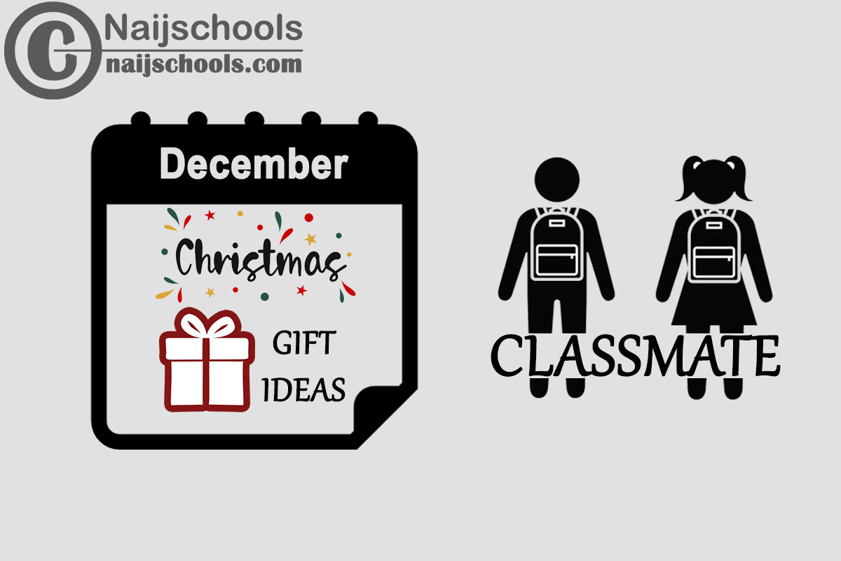 15 Christmas 2023 Gifts to Buy for Your Classmate