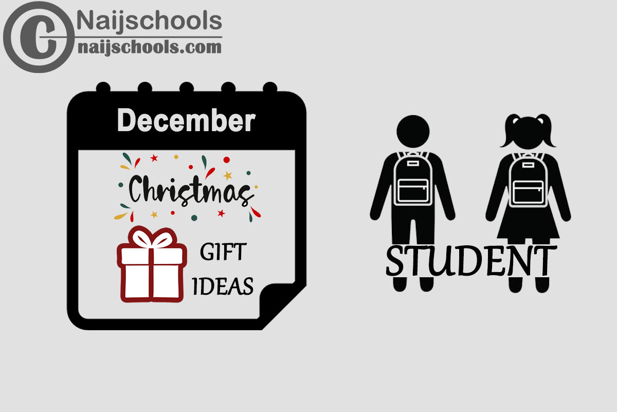 18 Christmas 2023 Gifts to Buy for Your Student