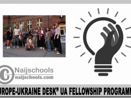 Europe-Ukraine Desk” UA Fellowship Programme 2024