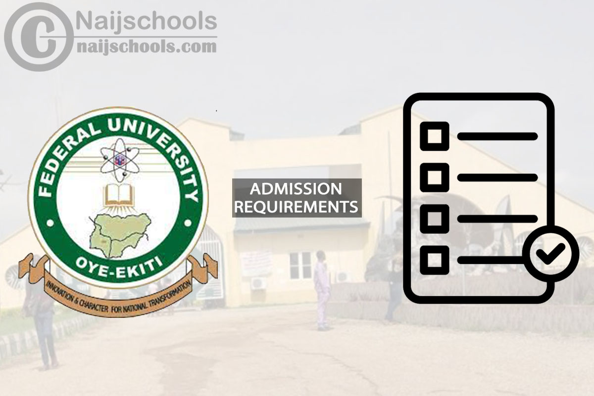 FUOYE Degree Admission Requirements for 2024/2025 Session