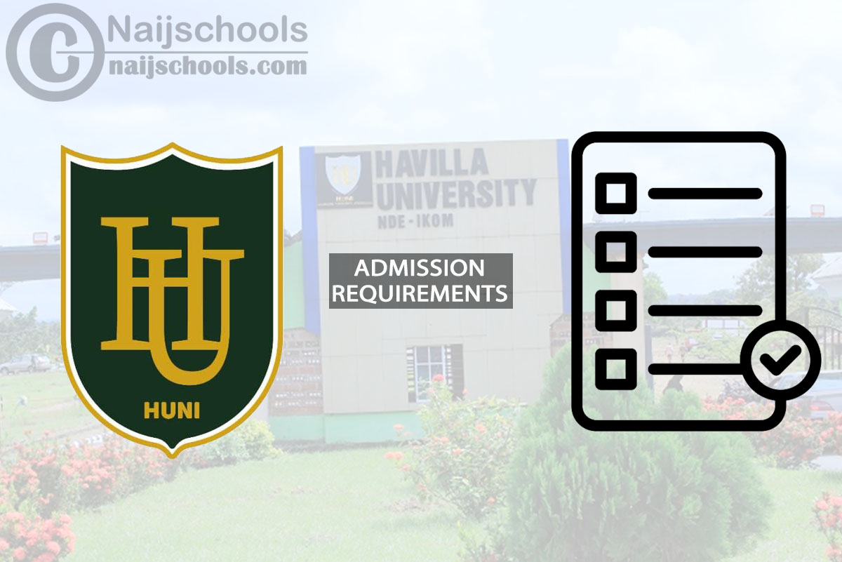Havilla University Degree Admission Requirements 2024/2025