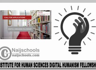 Institute for Human Sciences Digital Humanism Fellowship 2024