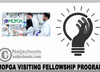 MOPGA Visiting Fellowship Program 2024