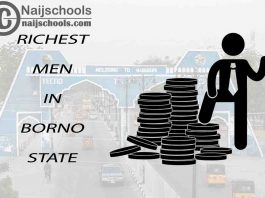 Top 13 Richest Men in Borno State Nigeria 2023/2024