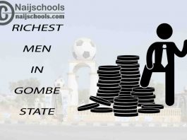 Top 13 Richest Men in Gombe State Nigeria 2023/2024