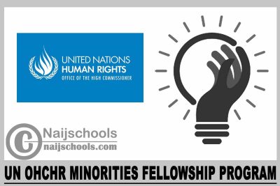 UN OHCHR Minorities Fellowship Program