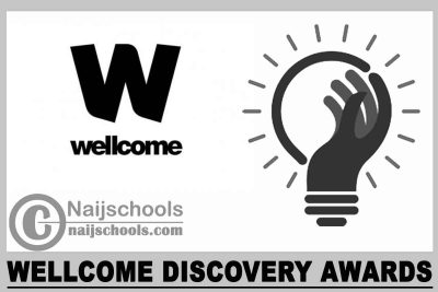 Wellcome Discovery Awards 2024