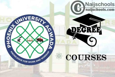 Degree Courses Offered in Phoenix University Agwada