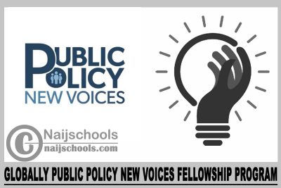 Globally Public Policy New Voices Fellowship Program 2024