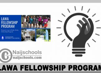 LAWA Fellowship Program 2024
