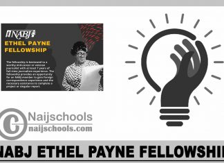 NABJ Ethel Payne Fellowship