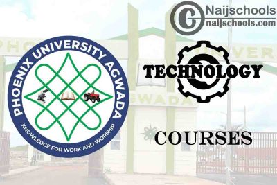 Phoenix University Agwada Courses for Technology Students