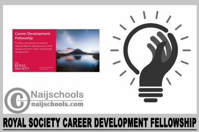 Royal Society Career Development Fellowship 2024