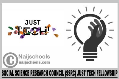 Social Science Research Council (SSRC) Just Tech Fellowship 2024