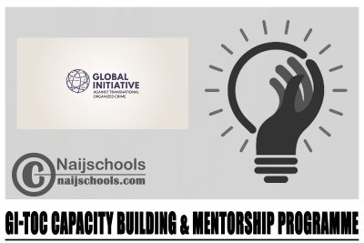 GI-TOC Capacity Building & Mentorship Programme 2024