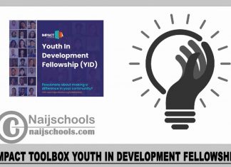Impact Toolbox Youth in Development Fellowship 2024