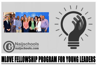 MLOVE Fellowship Program 2024-2025 for Young Leaders