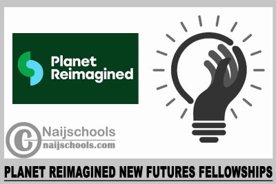 Planet Reimagined New Futures Fellowships 2024