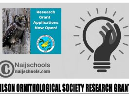 Wilson Ornithological Society Research Grants 2024