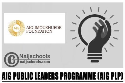 AIG Public Leaders Programme (AIG PLP) 2024