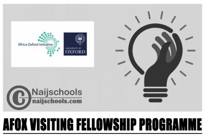 AfOx Visiting Fellowship Programme 2024