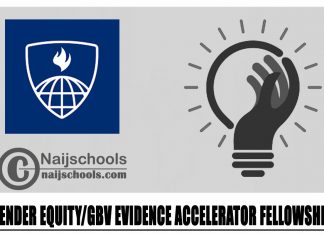 Gender Equity/GBV Evidence Accelerator Fellowship