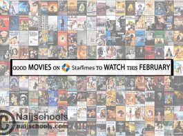 Good Movies to Watch on StarTimes this February 2024; Top 15