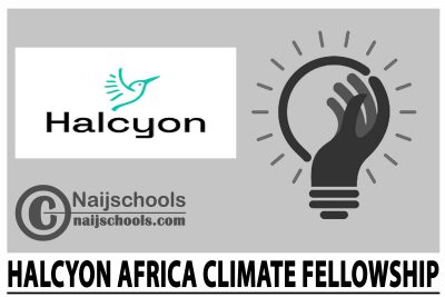 Halcyon Africa Climate Fellowship 2024