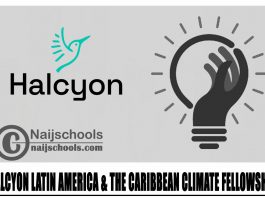 Halcyon Latin America & the Caribbean Climate Fellowship 2024