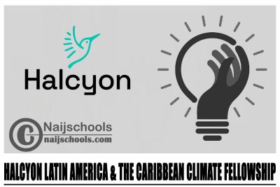 Halcyon Latin America & the Caribbean Climate Fellowship 2024